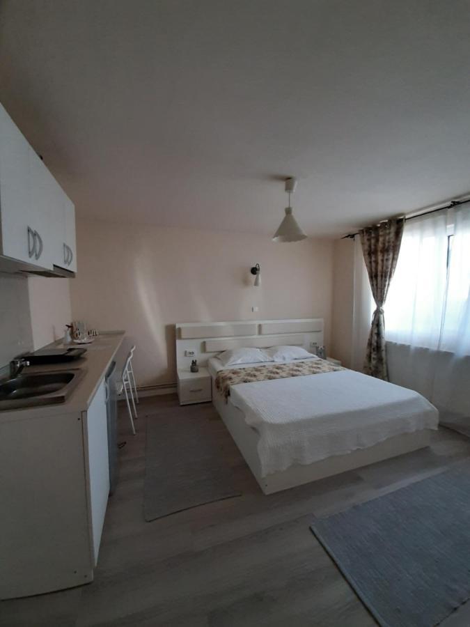 Casa Flamingo Hotel Craiova Eksteriør billede