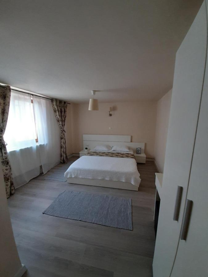 Casa Flamingo Hotel Craiova Eksteriør billede
